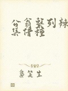 公翁系列辣文全集借种