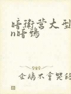 暗卫营大型hpn暗鸦