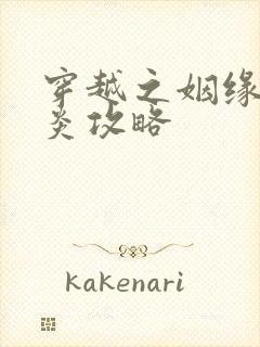 穿越之姻缘劫萧炎攻略