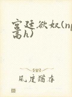宫廷欲奴(np高h)