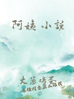 阿姨 小说