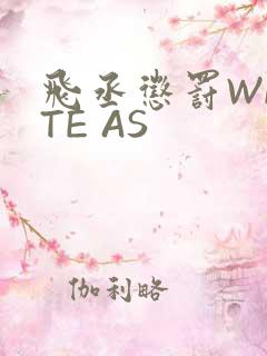 飞丞惩罚WRITE AS