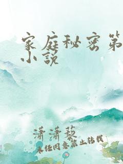 家庭秘密第3集小说