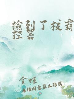 捡到了校霸的遥控器