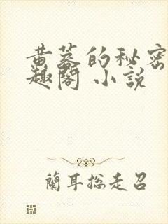 黄蓉的秘密 笔趣阁 小说