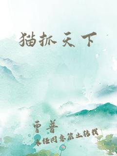 猫抓天下