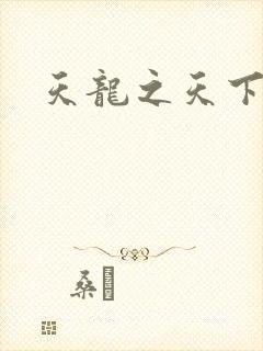 天龙之天下有我