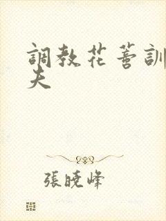 调教花蒂训诫从夫