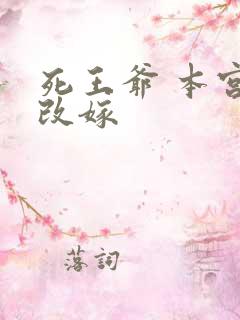 死王爷 本宫已改嫁