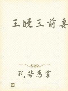 王晓玉前妻
