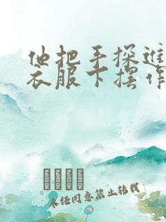 他把手探进我的衣服下摆作文