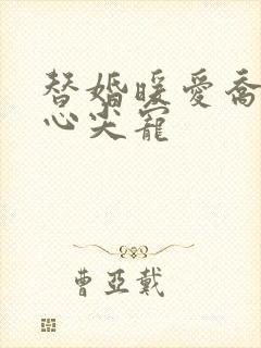 替婚暖爱乔少的心尖宠