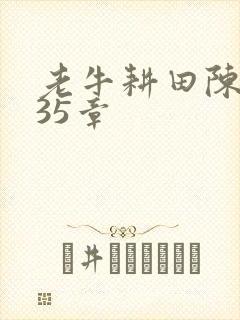 老牛耕田陈雪435章