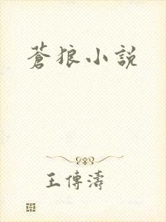 苍狼小说