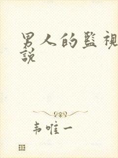 男人的监视下小说