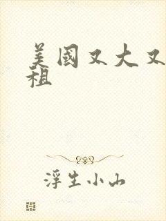 美国又大又长又租