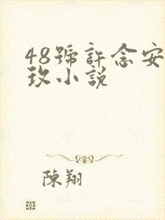 48号许念安穆玫小说