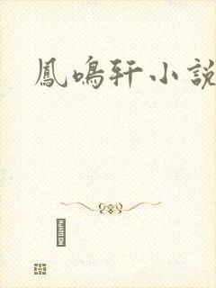 凤鸣轩小说