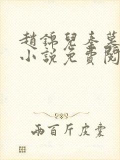 赵锦儿秦慕修的小说免费阅读全文