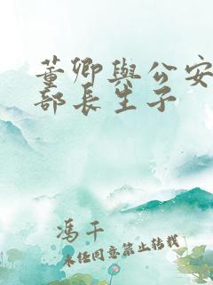 董卿与公安部副部长生子