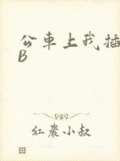 公车上我插上骚B