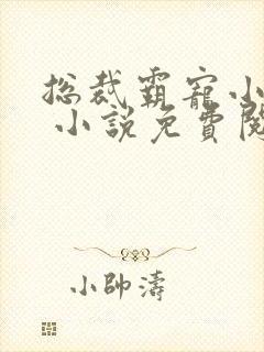 总裁霸宠小娇妻 小说免费阅读