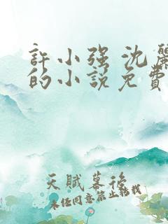 许小强 沈丽娟的小说免费阅读