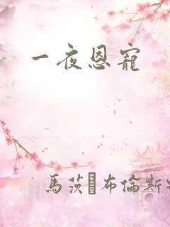 一夜恩宠