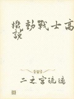 机动战士高达小说