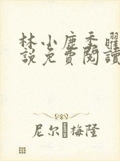 林小鹿季曜珉小说免费阅读