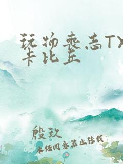 玩物丧志TXT卡比丘