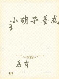 小胡子养成计划3