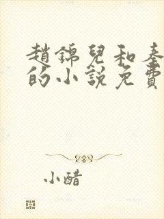 赵锦儿和秦慕修的小说免费阅读全文