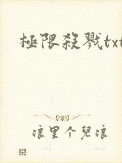 极限杀戮txt