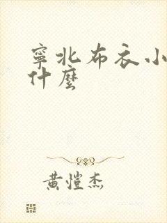 宁北布衣小说叫什么