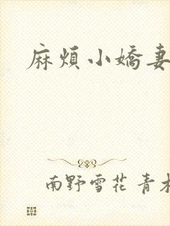 麻烦小娇妻