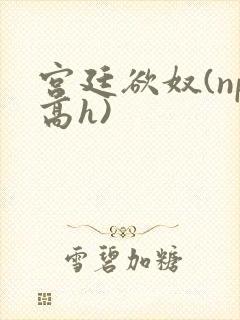 宫廷欲奴(np高h)