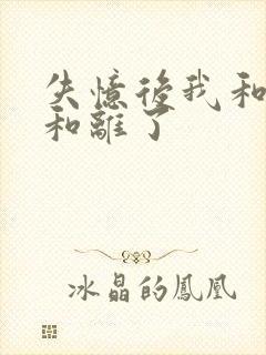 失忆后我和王爷和离了