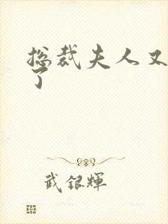 总裁夫人又征婚了