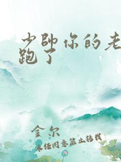 少帅你的老婆又跑了