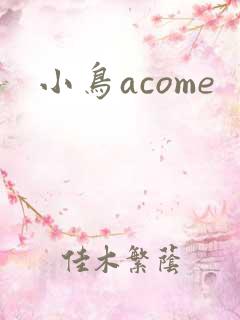 小鸟acome