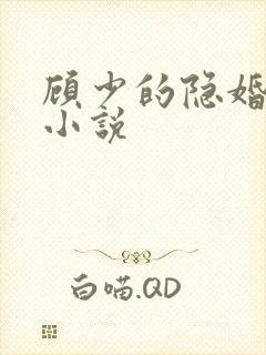 顾少的隐婚罪妻小说