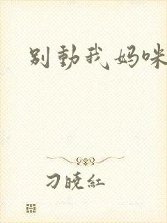 别动我妈咪
