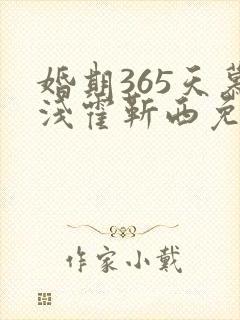 婚期365天慕浅霍靳西免费阅读