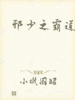 邪少之霸道娇妻