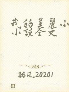 我的美丽小后妈小说全文