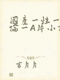 国产一性一交一伦一A片小说