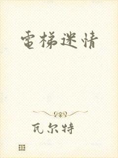 电梯迷情