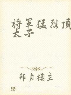 将军猛烈顶弄h太子
