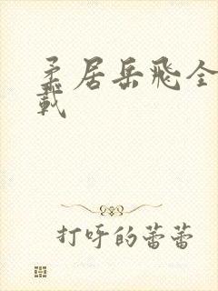 柔居岳飞全传下载